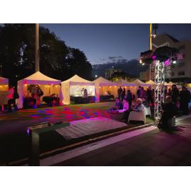 Artist Night Market and DJ Tigerlil, d'Arcy Doyle Place, Ipswich, July 2026