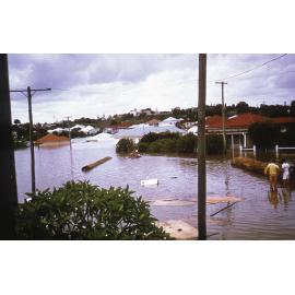 Flood waters at their peak, North Ipswich, Sunday 27th January 1974