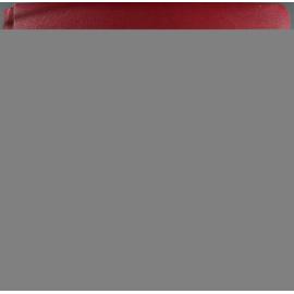 Royal Ipswich Court of Irresistible Red Hatters Scrapbook, 2007-2008