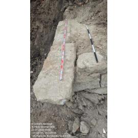 Bremer Mills Archaeological investigation 2026