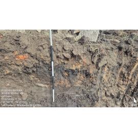Bremer Mills Archaeological investigation 2026
