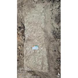 Bremer Mills Archaeological investigation 2026