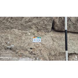 Bremer Mills Archaeological investigation 2026