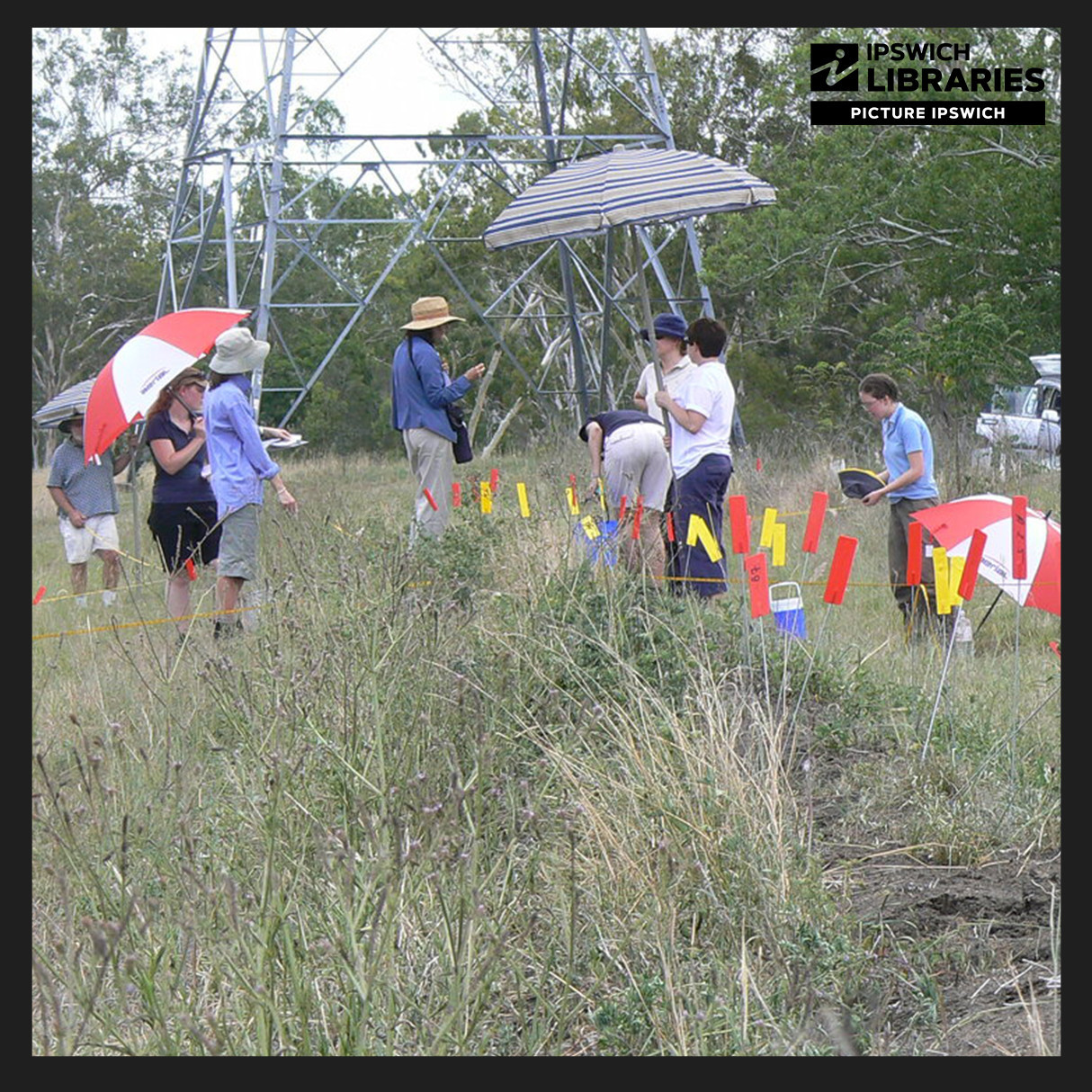 Archaeological investigations at Bremer Mills, 2007