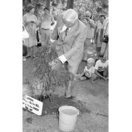 Sir James Ramsay, Governor of Queensland, planting a leopard tree at the memorial in honour of Mary Aileen Bell, Coochin Coochin, Scenic Rim, April 1980