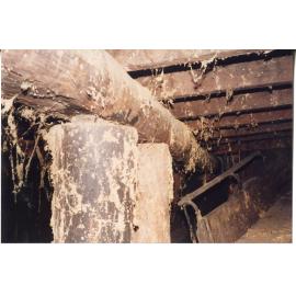 The cellar of Risson's Produce