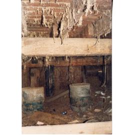 The cellar of Risson's Produce