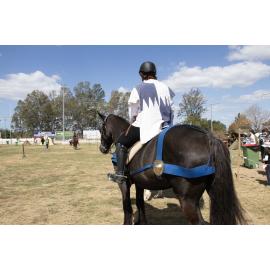 Equestrian events at History Alive, at Galvanized, Ipswich Showgrounds, Ipswich, September 2026
