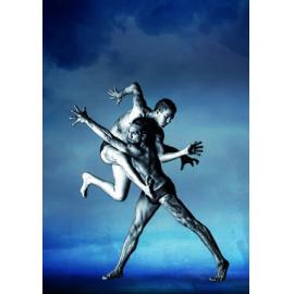 Bangarra dancers Daniel Riley-McKinley and Waangenga Blanco to perform in Blak at QPAC, Ipswich, 17 May 2013