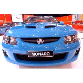 Turismo coloured Holden Monaro V8 at Brisbane Motor Show, Ipswich, 3 February 2005 
