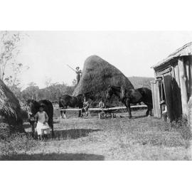 Family on unidentified farm in the Ipswich area, 1895-1899