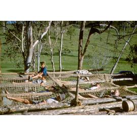 Rosewood boy scouts at Grandchester, Ipswich, 1960s