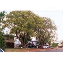 Gladstone Road, No. 69, Coalfalls, Ipswich, 1991