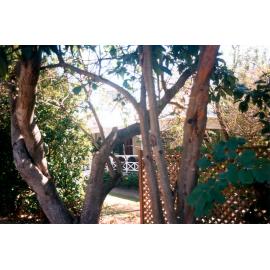 Dumfries, 43 Williams Street, Coalfalls, Ipswich, 1991