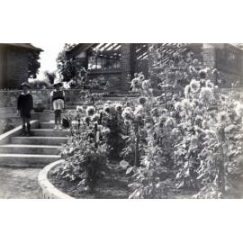 Queens Park, Glass House, Ipswich, 1946