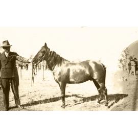 Arthur Sellars with his horse 'Ebony', Rosewood, 1920s