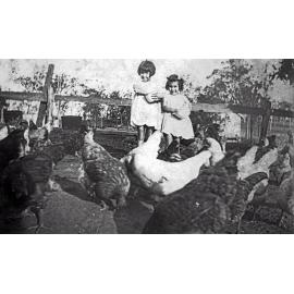 Edna and Dulcie Foote feeding the chickens at Rockdale Farm, Peak Crossing, Ipswich, ca. 1930
