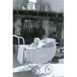 Young child in pram, backyard in Rosewood, Ipswich, c.1972