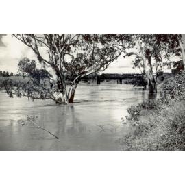 Town Bridge, Ipswich, during flooding,1947