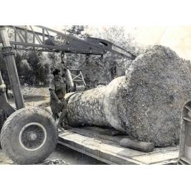 One of four columns on the Chermside Road, Ipswich, entrance to Queens Park being removed in the late 1970s