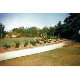 QUOTA Jubilee Rose Garden in Brown's Park, North Ipswich, 1991