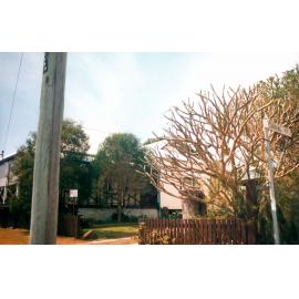 Colvin Street, No 5, North Ipswich, 1991