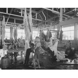 Workers butchering cattle at the Bremer River Abattoir, Ipswich, 1959