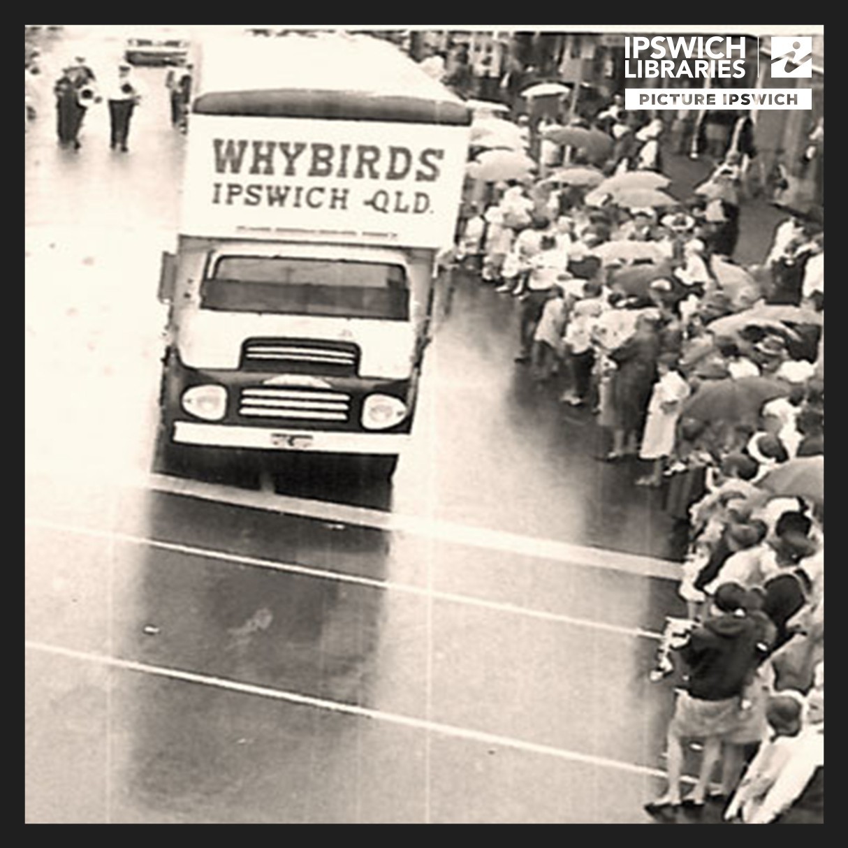 Whybirds