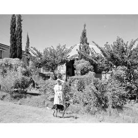 Lady with dog in front of house at 48 Park Street, Ipswich, 1960