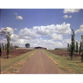 Driveway to residence of John McQueen, Edwards Street, Raceview, Ipswich, 1963