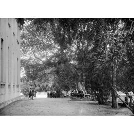 Students from Ipswich Girls' Grammar School, under trees in the school grounds, Ipswich, ca 1925