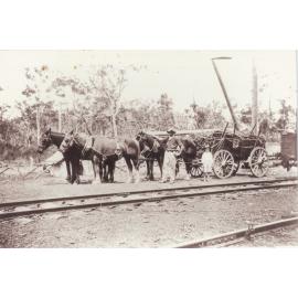 Carl Francis Schmeider loading cane