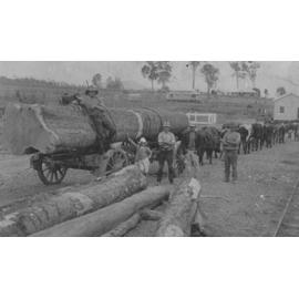 William Louis Clem with Bullock Dray