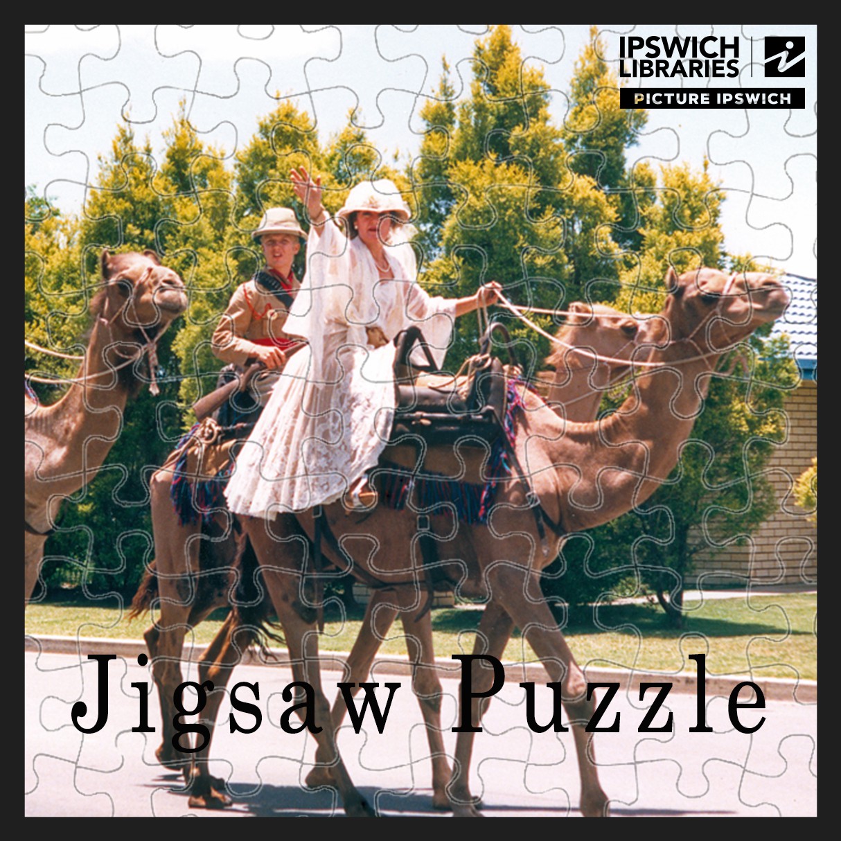 Camels in ANZAC Day Parade, Rosewood, Ipswich, 1990 (Jigsaw Puzzle)