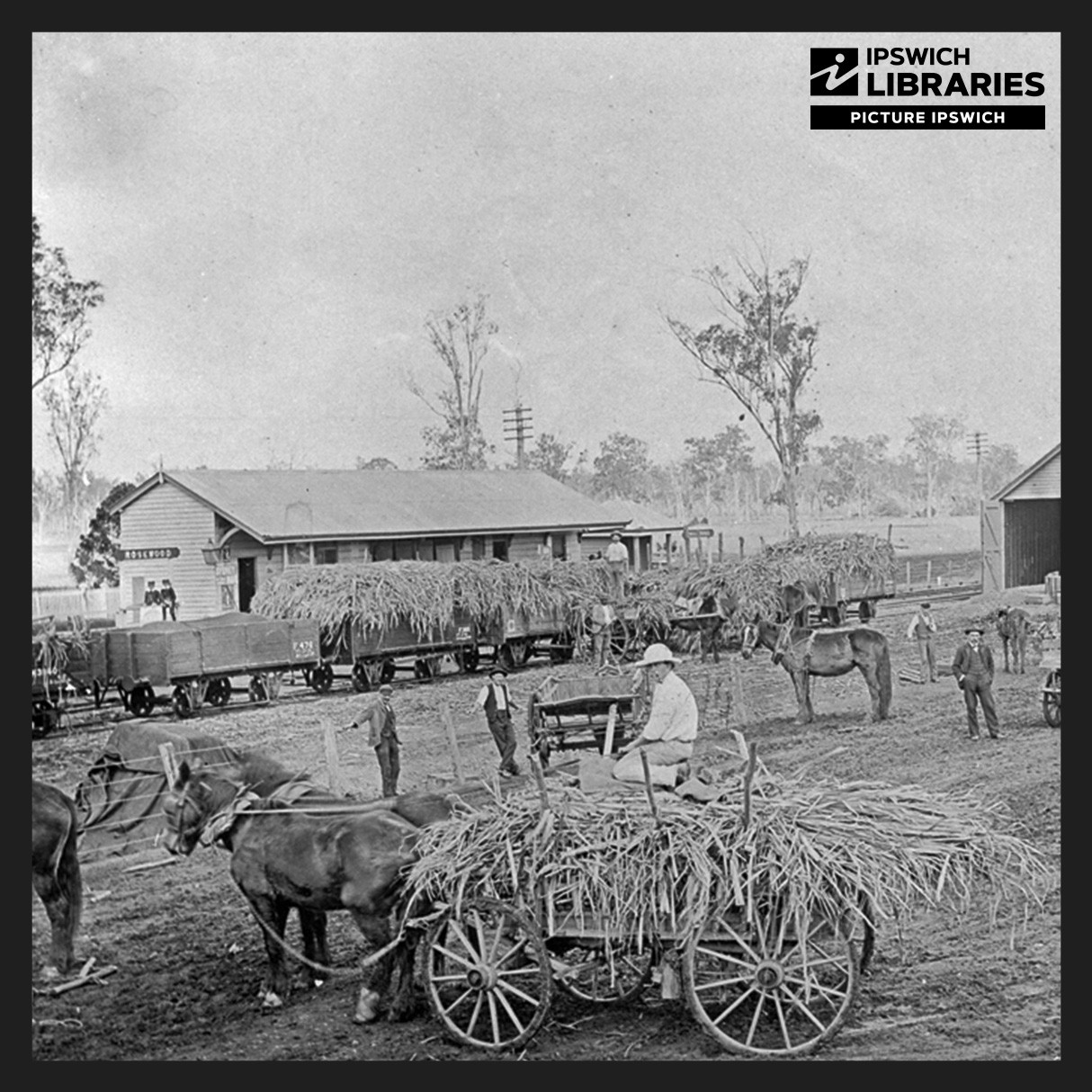 Rosewood Scrub Historical Society