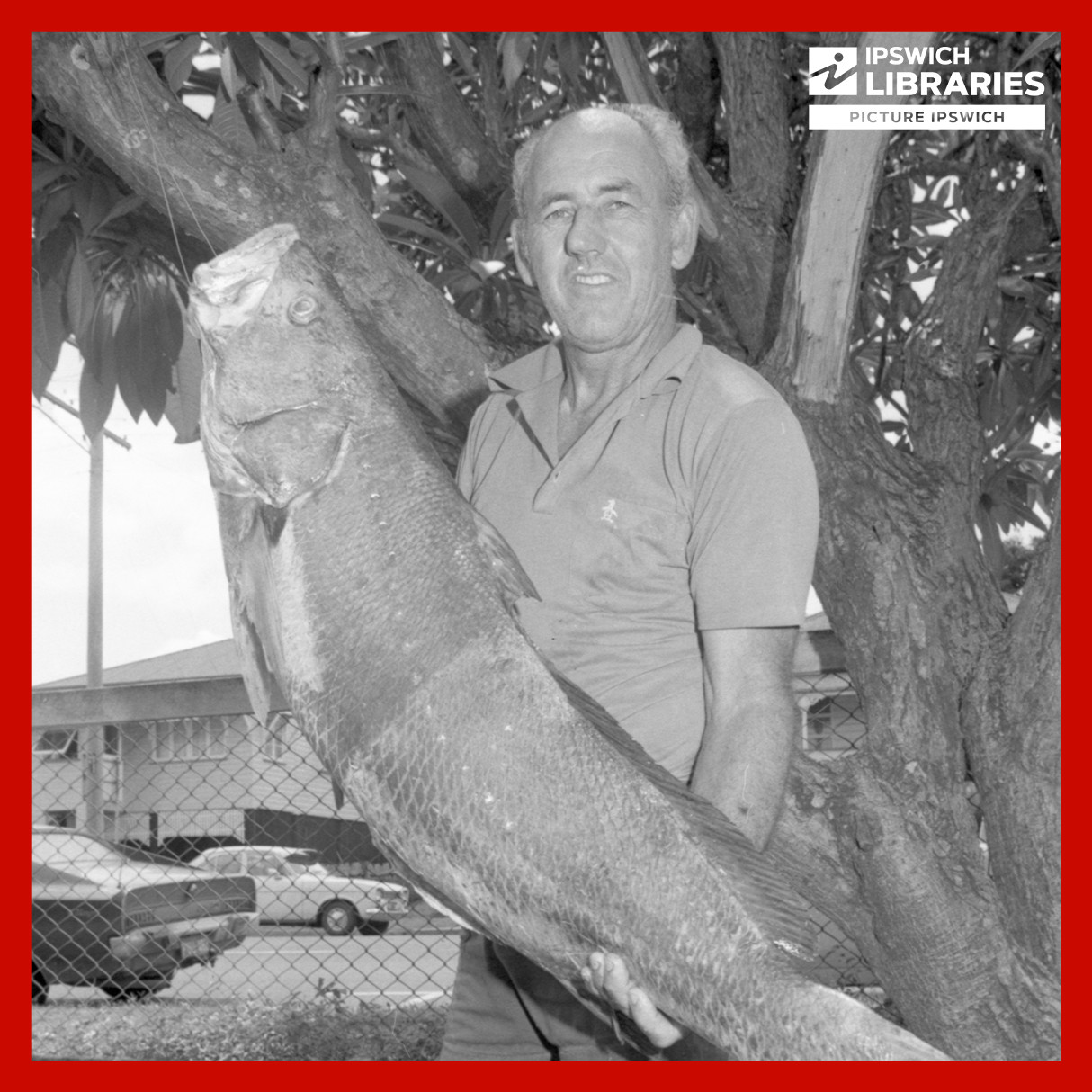 December 1979 - Queensland Times