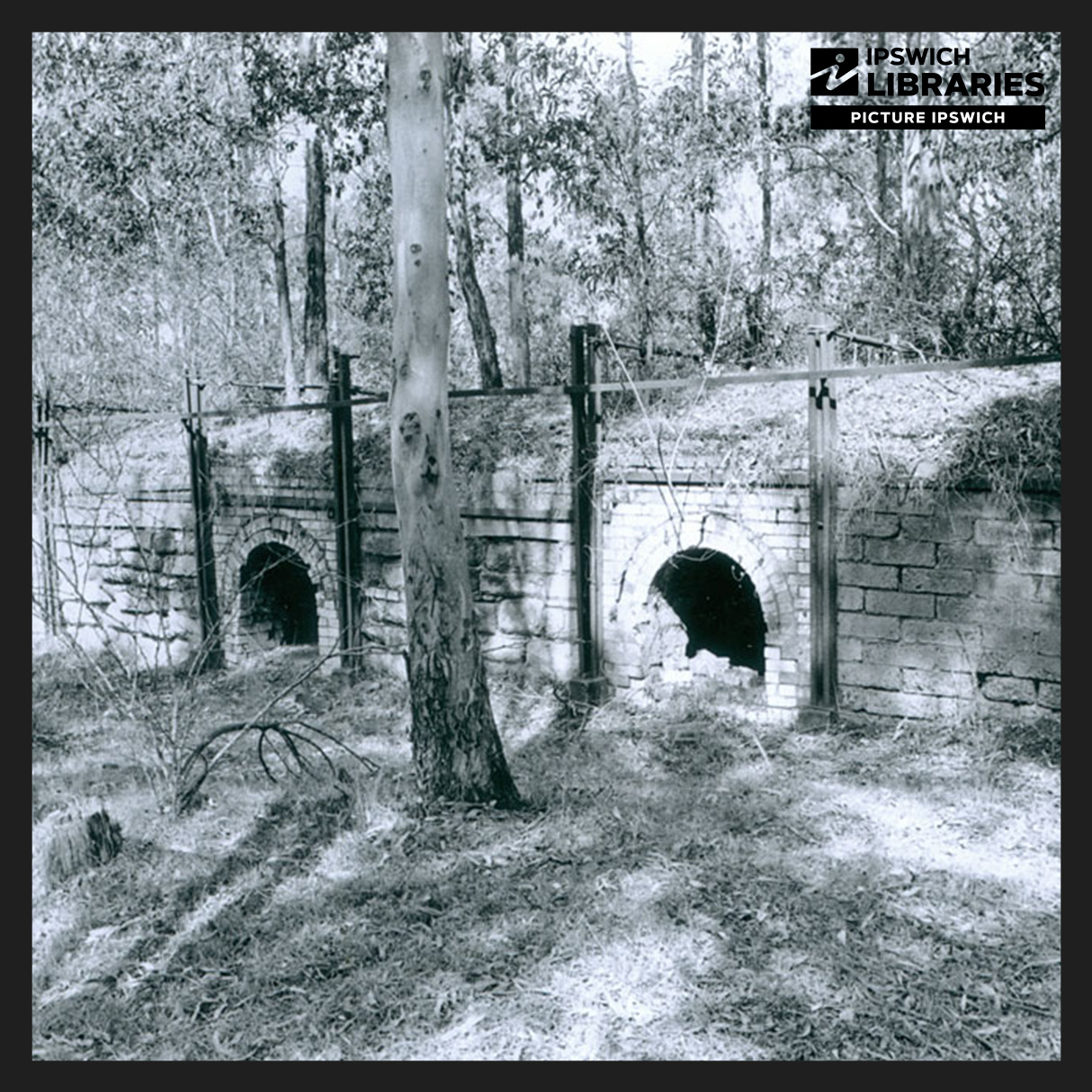 Judith Nissen - Historian