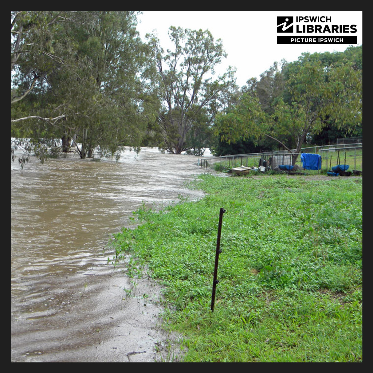 2010 Flood