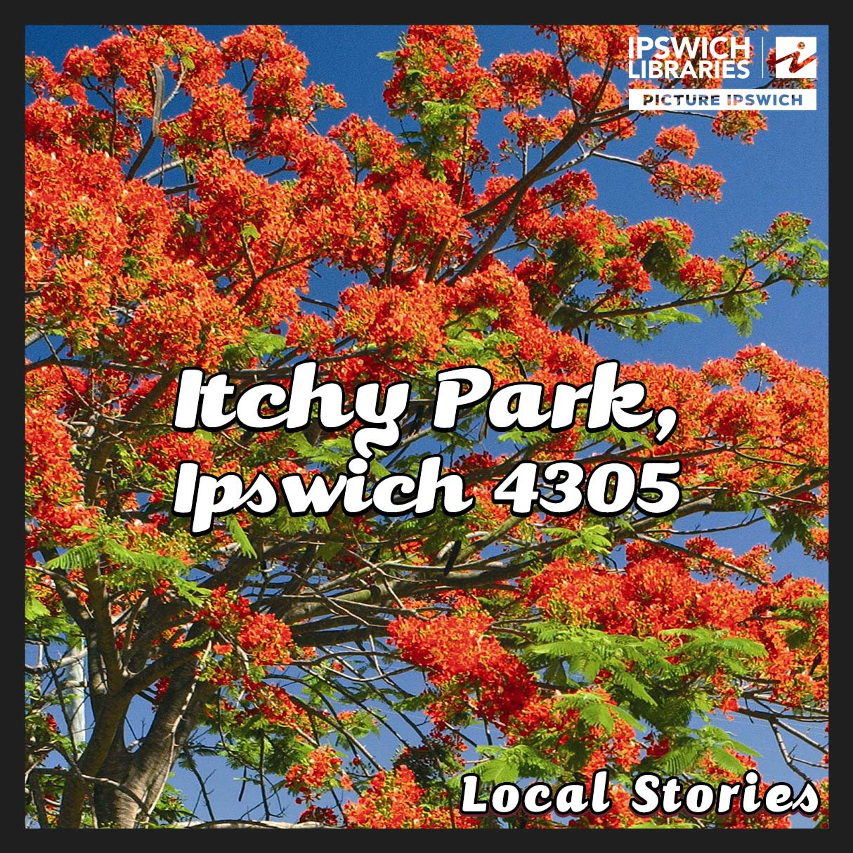 Itchy Park, Ipswich 4305