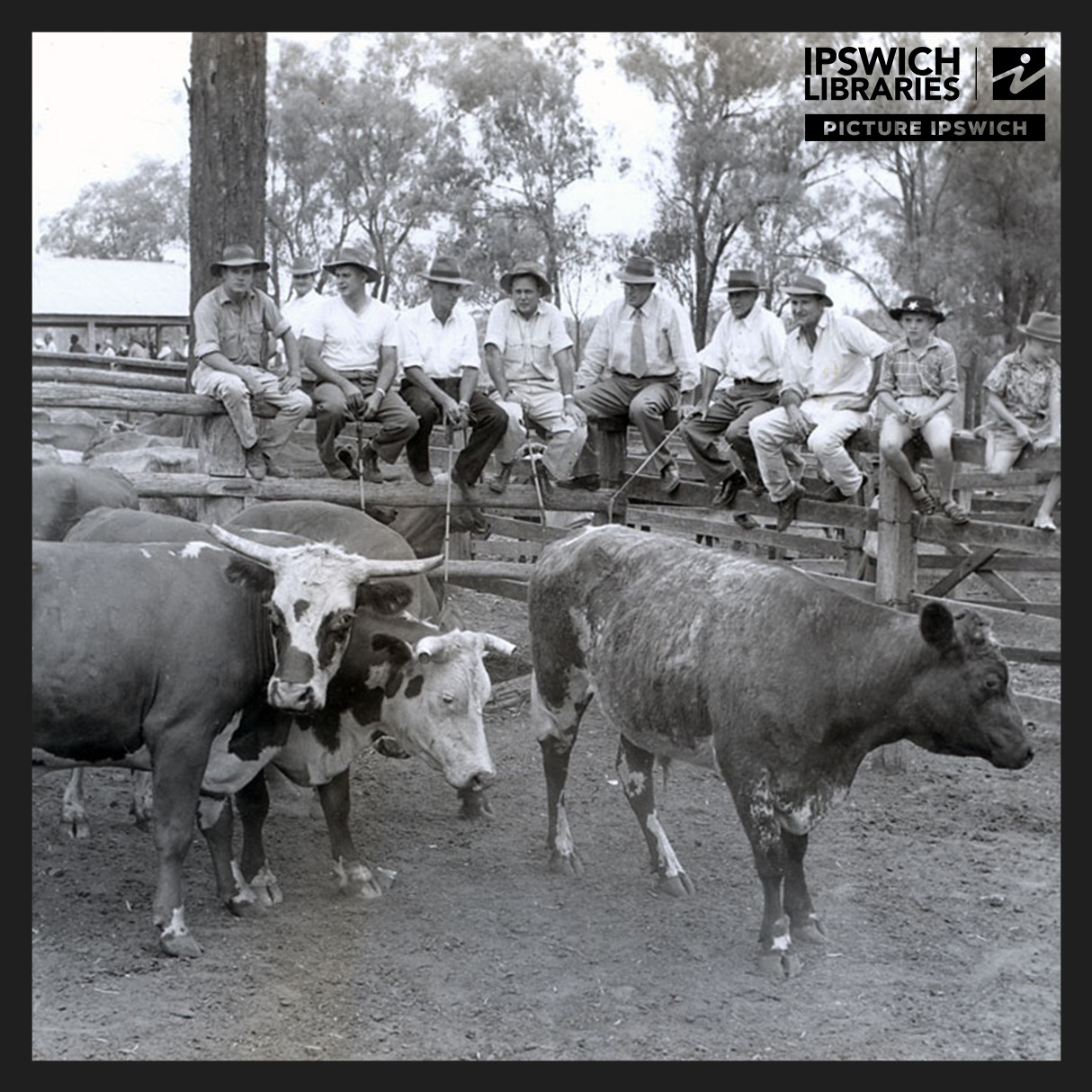 Agriculture &amp; Food Production