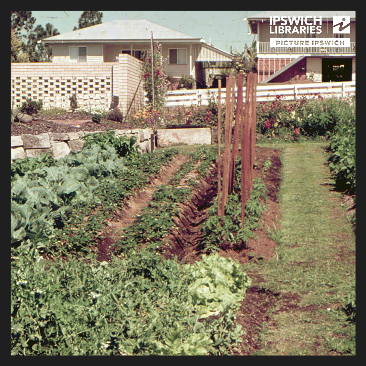 Plant Nurseries 